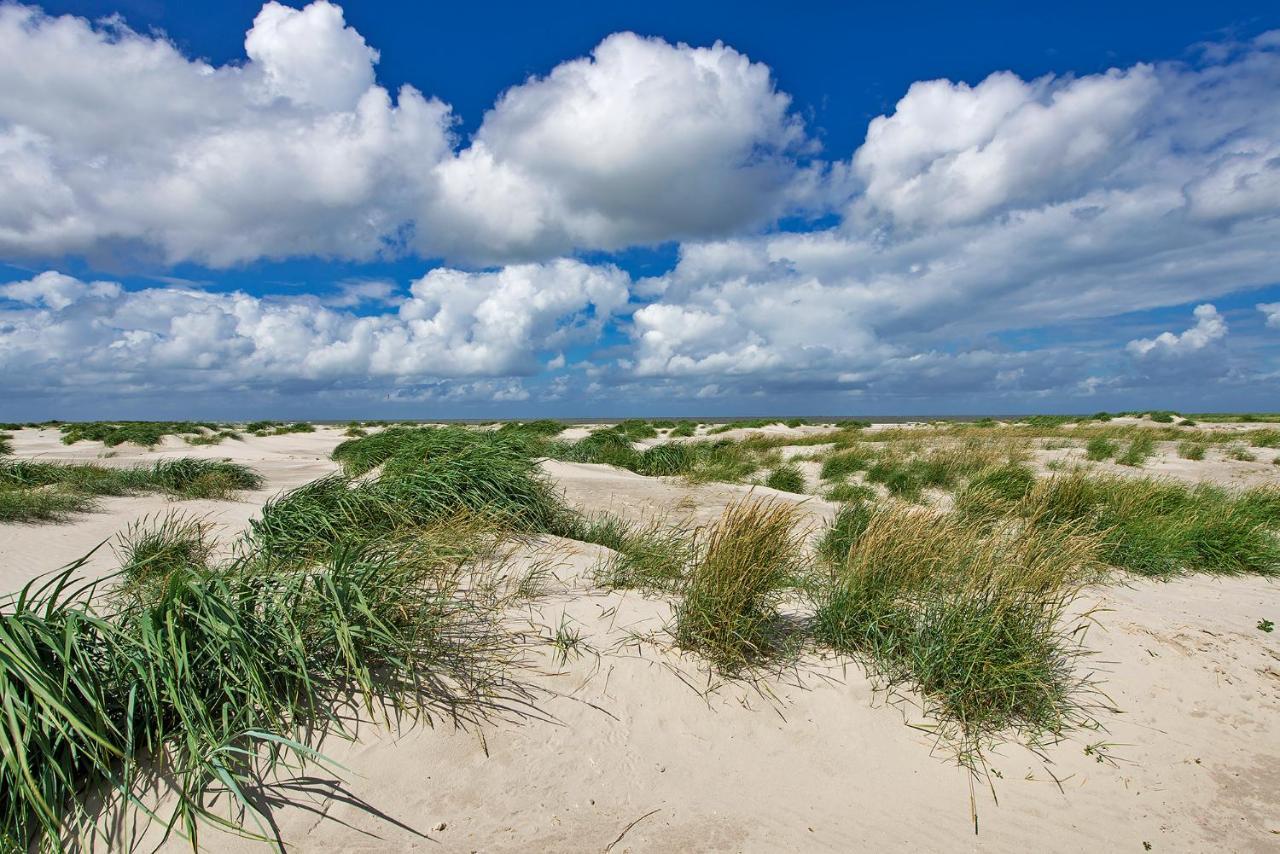 Вилла Zeelucht Texel Де-Коог Экстерьер фото